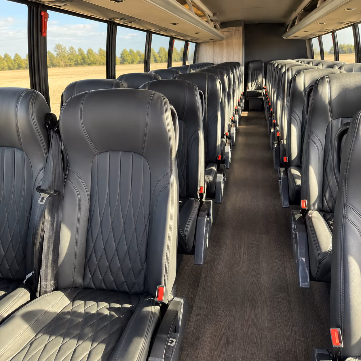 Maitland Corporate Transportation party bus exterior