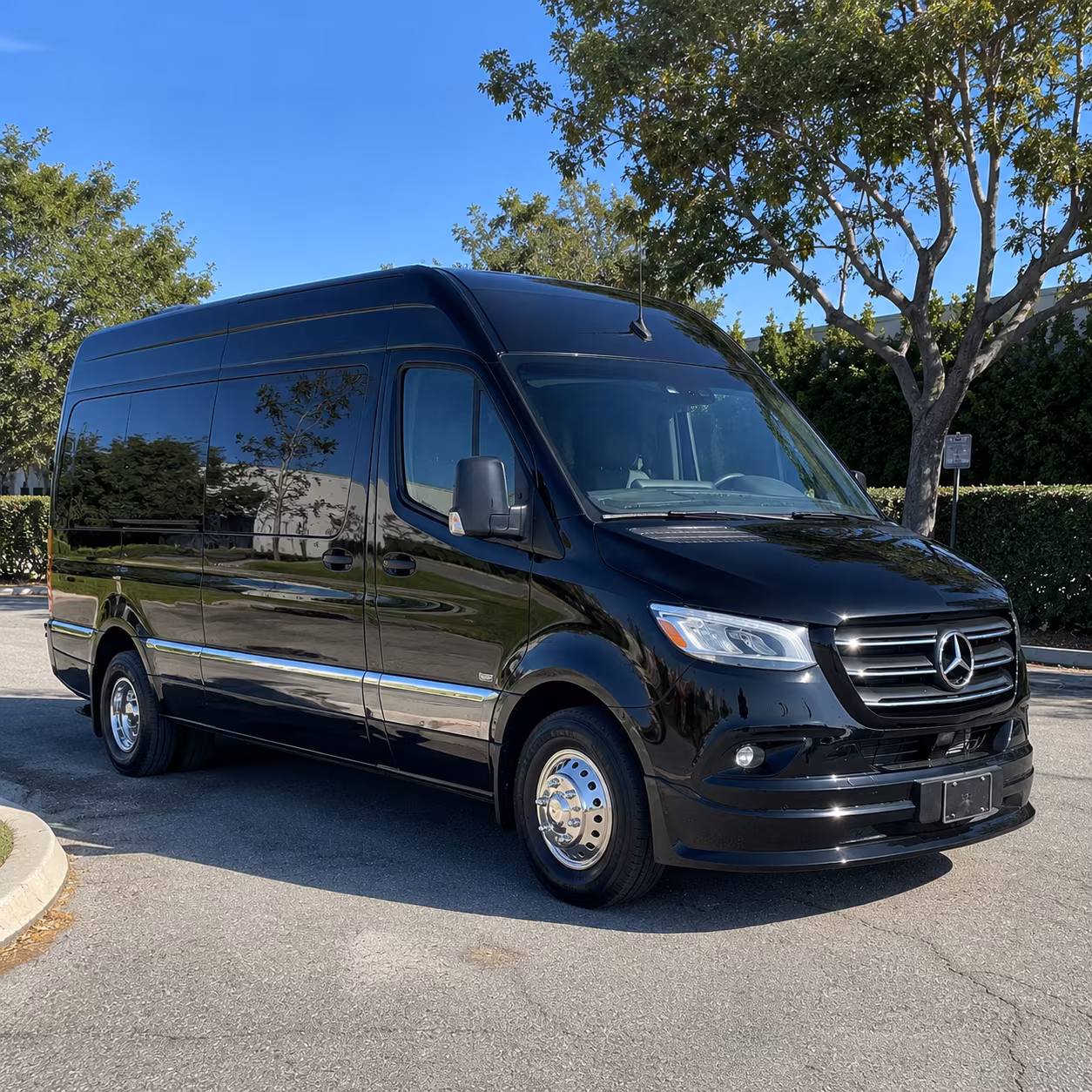 Sprinter Van