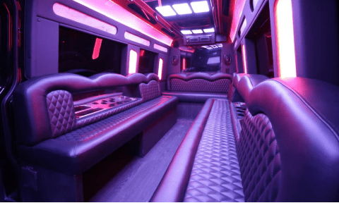 Palm Coast 14 Passenger Sprinter Bus Interior