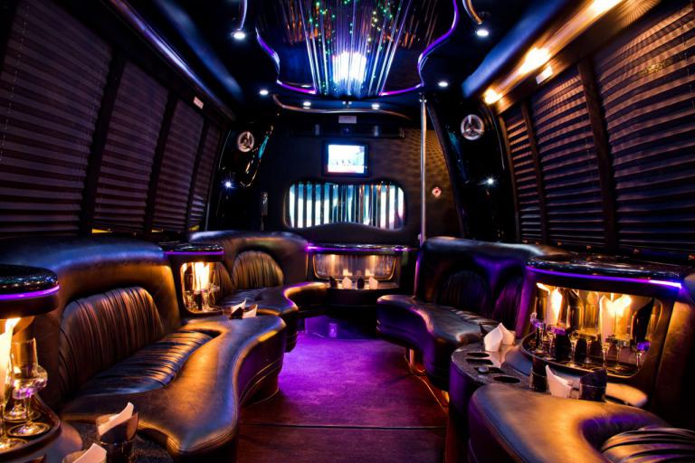 Palm Coast 22 Passenger Party Bus Interior