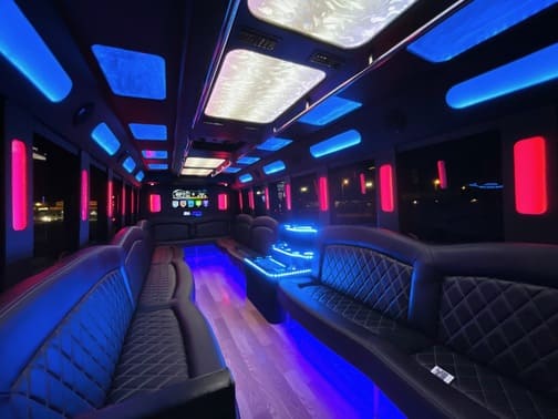 Palm Coast 35 Passenger Party Bus Interior