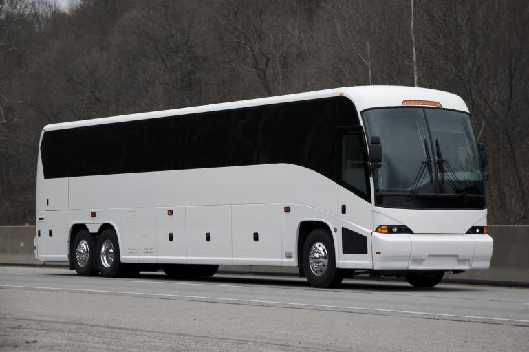 Palm Coast 47-56 Passenger Charter Buses