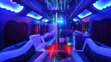 18 person party bus rental Maitland