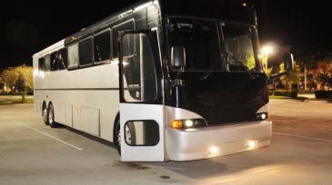 40 passenger party bus Maitland