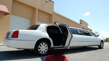lincoln stretch limo Maitland