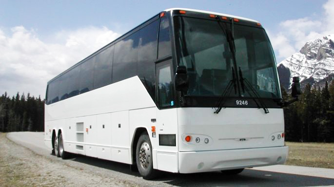 Maitland 50 Passenger Charter Bus